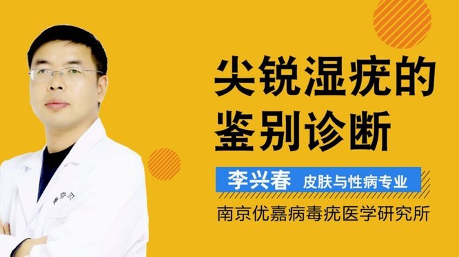 董路：幕后操盘手，精准集结精锐部队