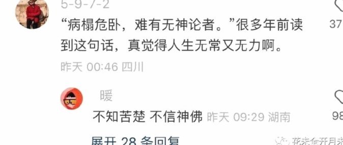深度解析谢初筠伤情：医学评估与康复科学展望