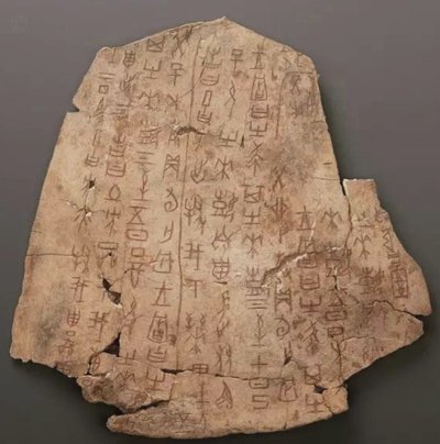 有“世界最美”之称的克罗地亚女球迷发文：裁判执法太烂了